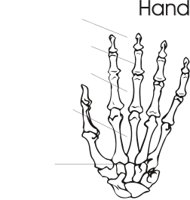 HAND.CMX