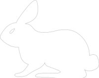 RABBIT.CMX