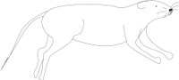 DEADRAT.CMX