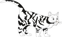 CAT.CMX