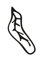 PLNT0094.CMX