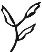 PLNT0089.CMX