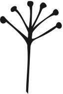 PLNT0087.CMX