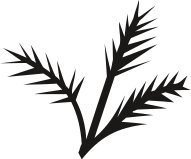 PLNT0084.CMX
