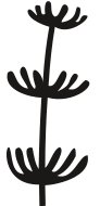 PLNT0083.CMX