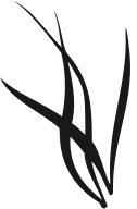 PLNT0073.CMX