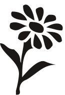 PLNT0059.CMX