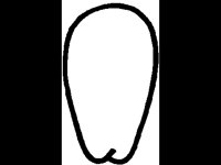 CMKIT031.BMP