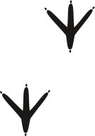 TRAC0044.CMX
