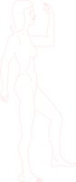 2BXSD2RN.CMX