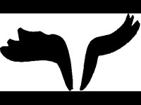 CMKIT028.BMP