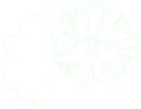 2LTREE3.CMX