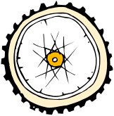 OBOB0453.CMX