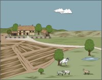 FARM5.CMX