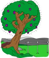 TREEOFL.CMX