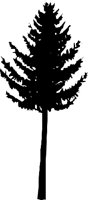 TREEN019.CMX