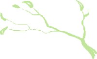 TREEC049.CMX