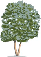 TREE9.CMX