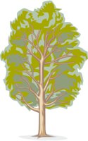 TREE8.CMX
