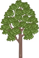TREE7A.CMX