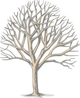 TREE7.CMX