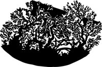 OBPL0283.CMX