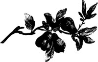 OBPL0281.CMX