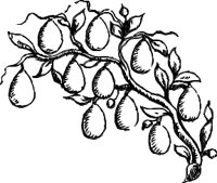 OBPL0242.CMX
