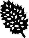 LEAFS023.CMX