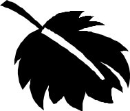LEAFS022.CMX