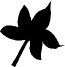 LEAFS017.CMX