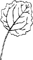 LEAFN012.CMX