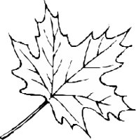 LEAFN009.CMX