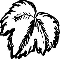 LEAFN003.CMX
