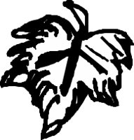 LEAFN002.CMX