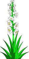 CACTU021.CMX