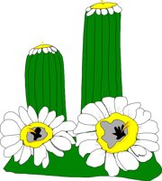 CACTU020.CMX