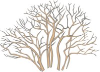 BUSH2.CMX
