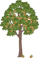 APPLETRE.CMX