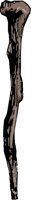 OBOB0419.CMX