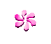 SPLSHPNK.GIF