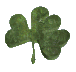 SHAMROCK.GIF