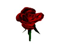 ROSE.GIF
