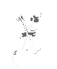 XWHITE.GIF