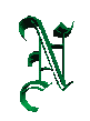 NGREEN.GIF