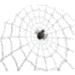 SPIDER.GIF