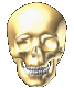 SKULL.GIF