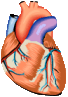 HEARTBT.GIF