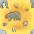 POLRBEAR.JPG