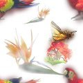PARROT2.JPG